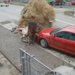 Accident caruta Bistrita Bargaului